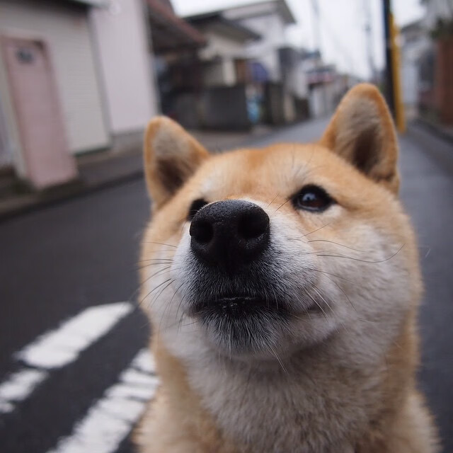 九游娱乐在线-中甲联赛球员平均年龄降低体现青训成果逐步显现,中甲球员平均年薪
