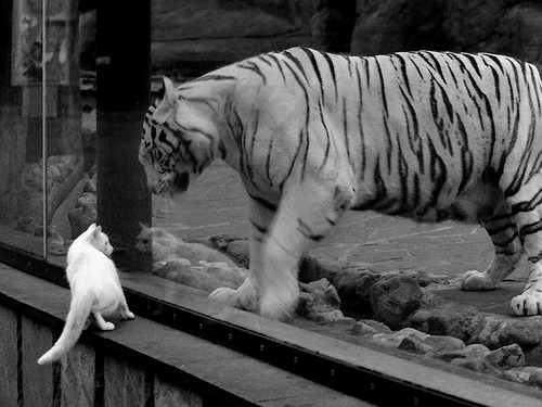 九游体育下载-中小学篮球教学加入心理建设内容强化比赛信心,篮球比赛培养学生坚强的意志品质