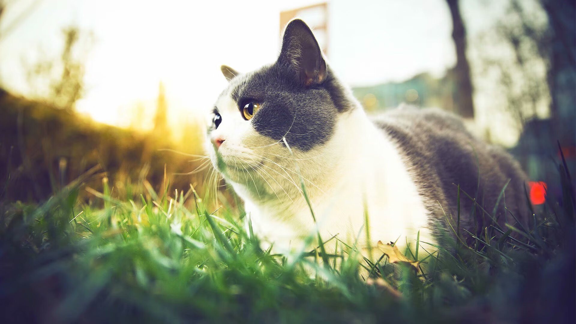 九游体育-决赛之夜 覃海洋无惧压力上场,覃海洋 哪里人