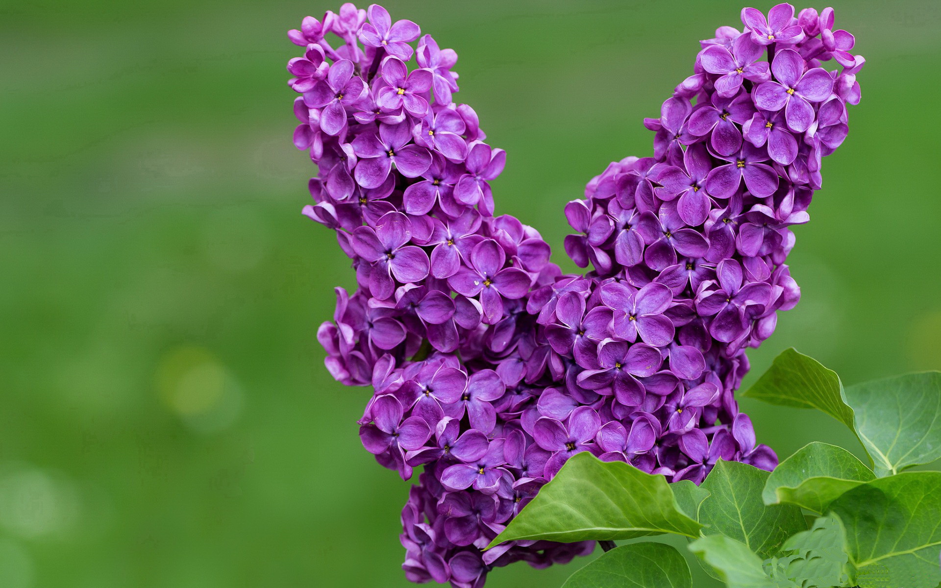 九游娱乐-女子4×200米自由泳接力美国队表现抢眼，女子4×200米自由泳接力决赛录像
